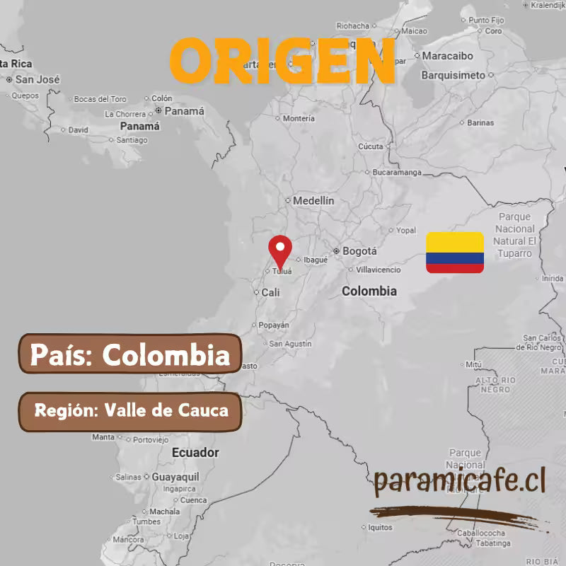 Nevado de Longaví – Café de Especialidad en Grano 100% Arábica Descafeinado Colombia 250g