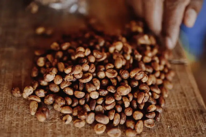 ¿Qué es el Culturing en el café?