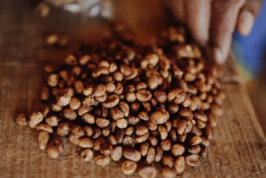 ¿Qué es el Culturing en el café?