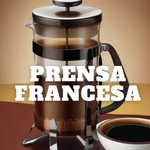 Cafeteras de prensa francesa de vidrio y acero para extracción de café por infusión.