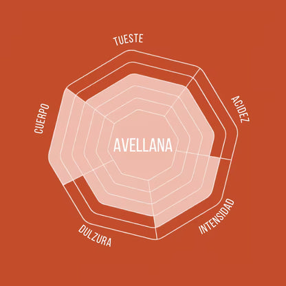 Diagrama de perfil del café: avellana, tueste, acidez e intensidad.