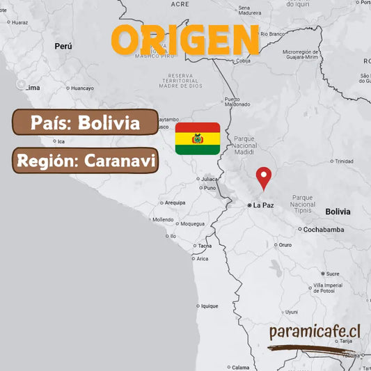 Café de especialidad molido con mapa de origen Bolivia, región Caranavi