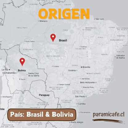 Infografía de origen del café: Brasil y Bolivia
