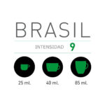 Intensidad Viaggio Brasil